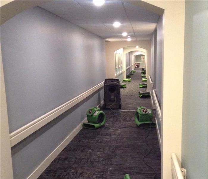 Drying equipment placed in commercial hall to dry carpet after suffering water damage