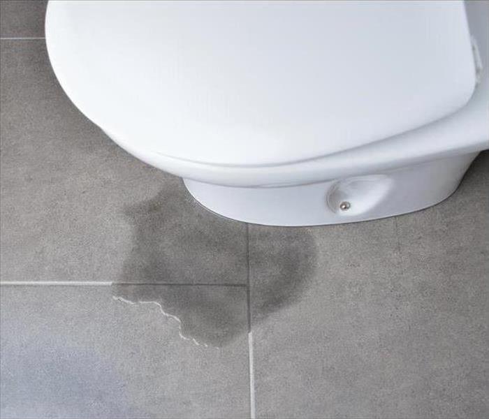 Image of a leaking toilet