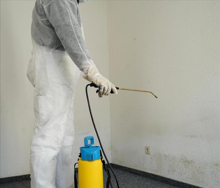 Image of a person with proper clothing and equipment removing mold